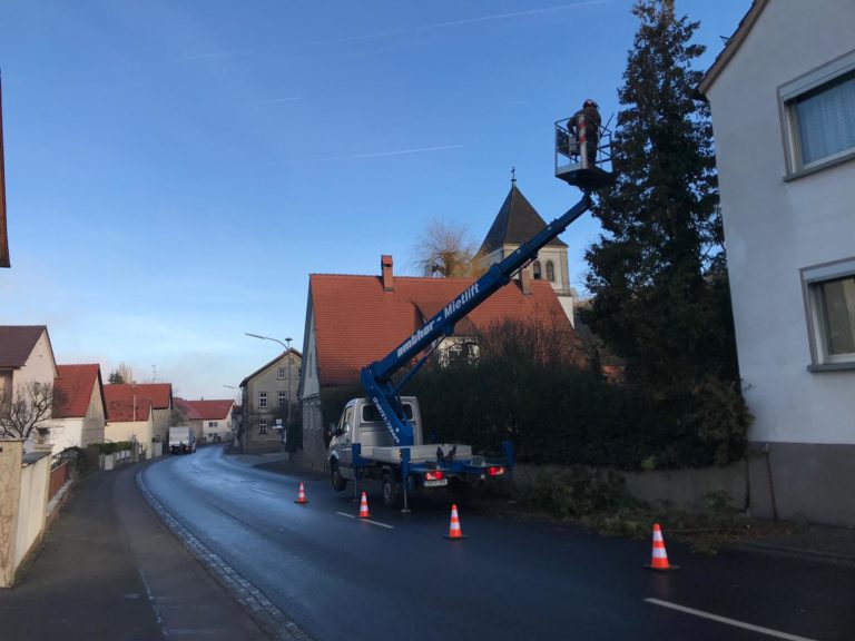 Baumdienst Götz Baum & Landschaftspflege