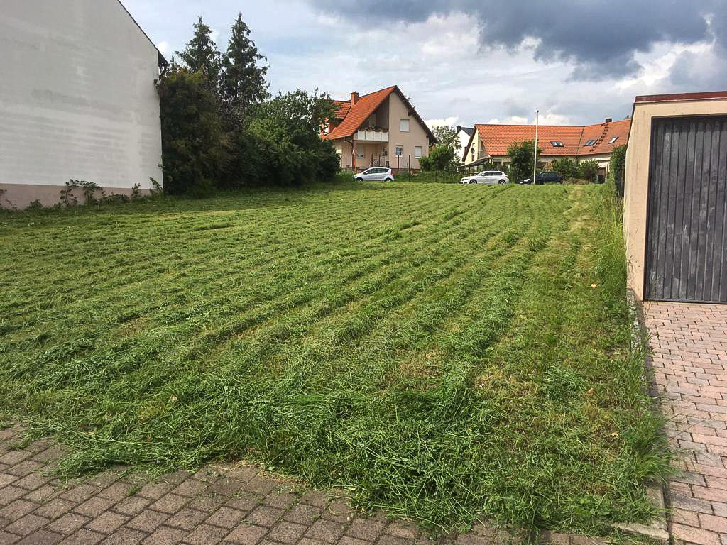 Baumdienst Götz Baum & Landschaftspflege